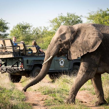 Kambaku River Sands Timbavati Game Reserve Esterno foto