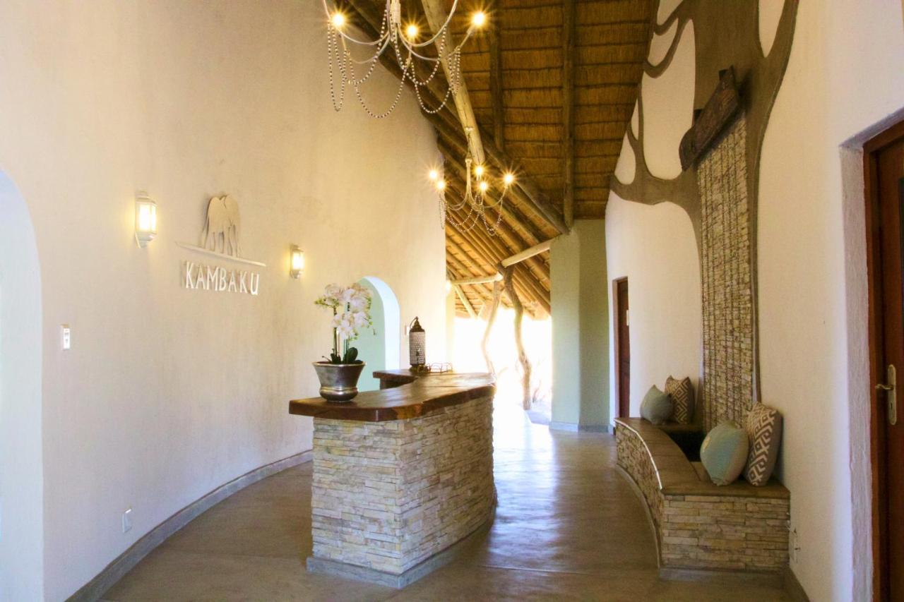 Kambaku River Sands Timbavati Game Reserve Esterno foto