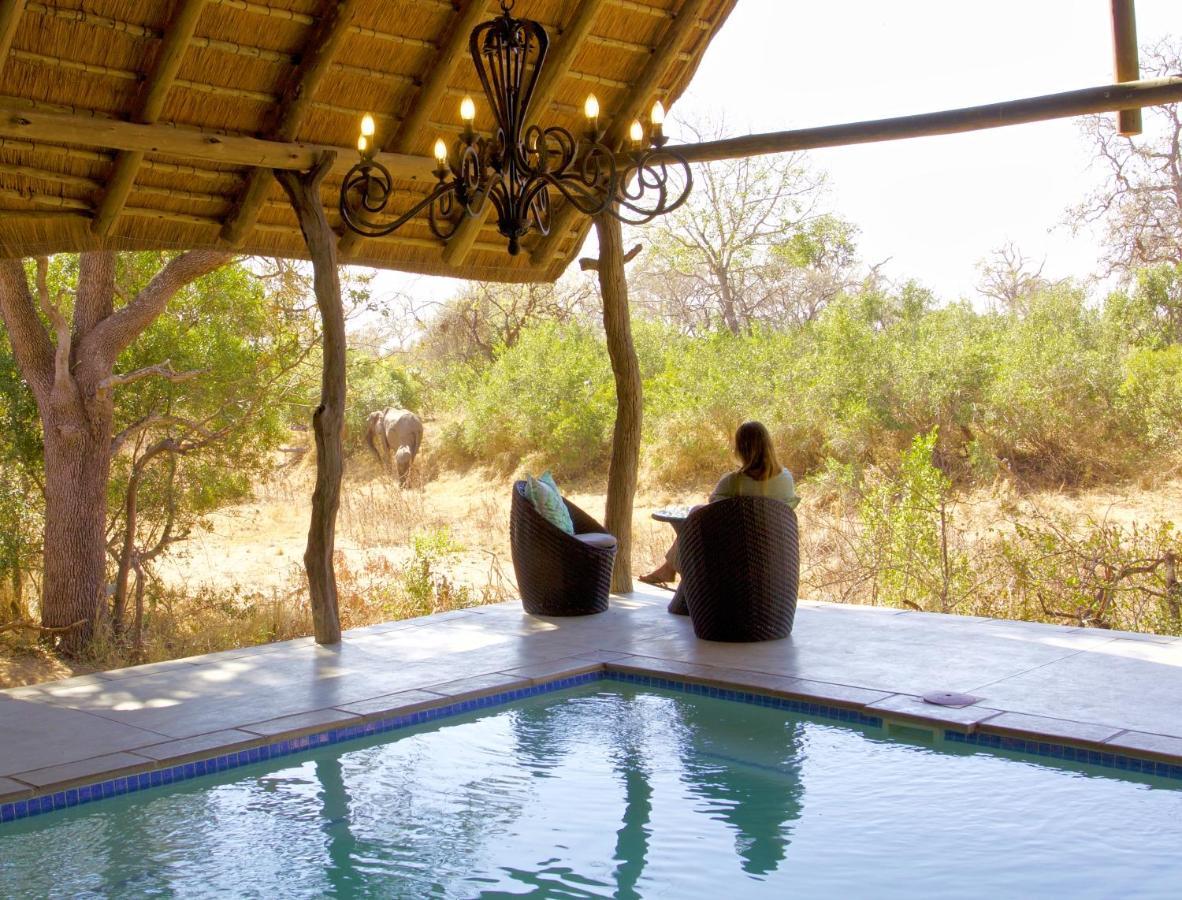 Kambaku River Sands Timbavati Game Reserve Esterno foto