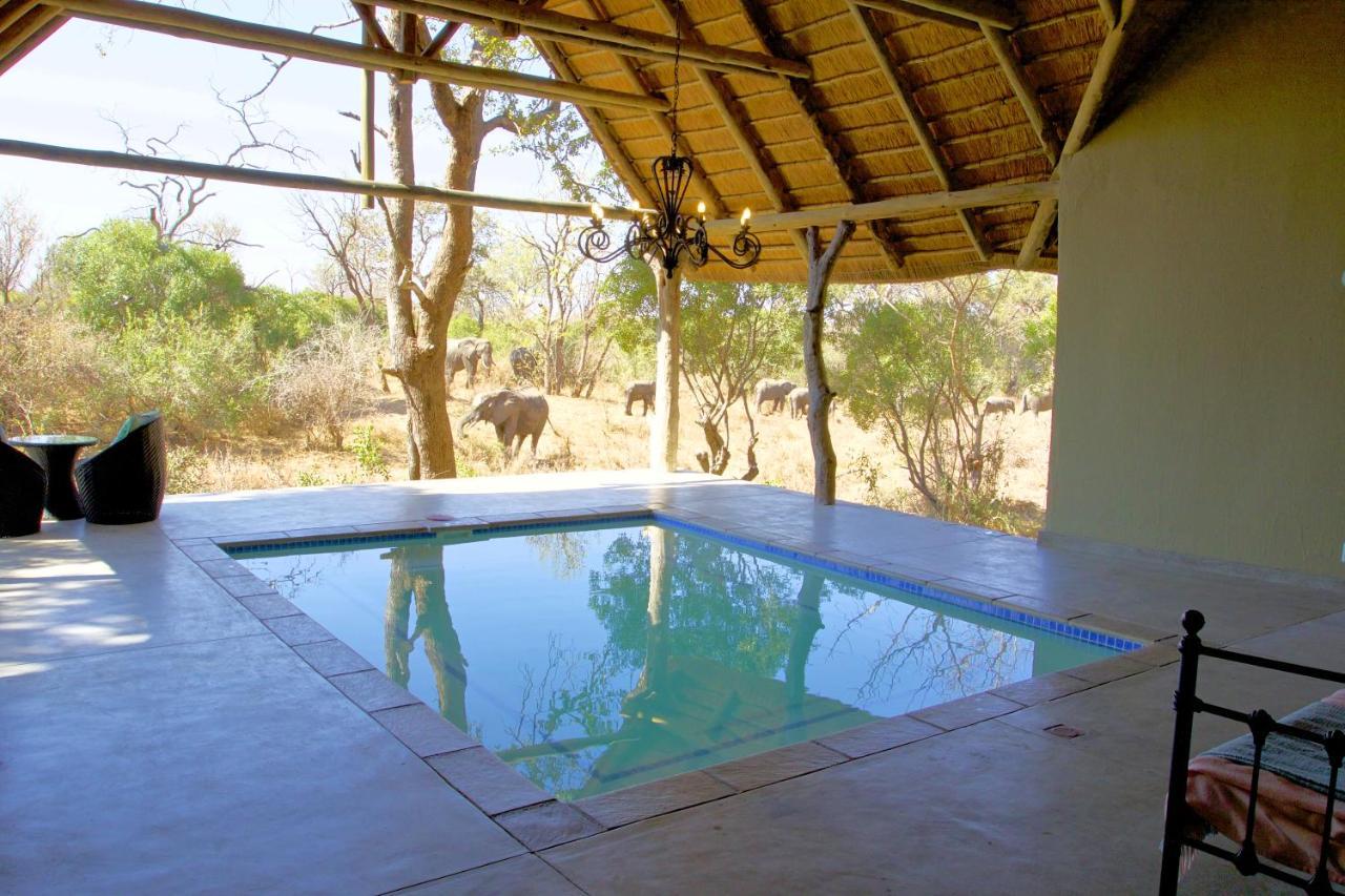 Kambaku River Sands Timbavati Game Reserve Esterno foto