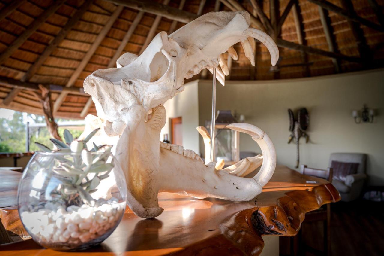 Kambaku River Sands Timbavati Game Reserve Esterno foto