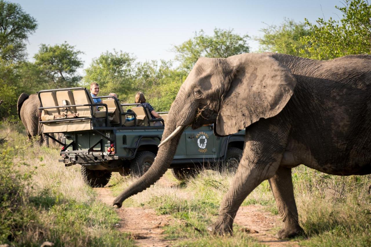 Kambaku River Sands Timbavati Game Reserve Esterno foto