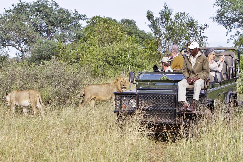 Kambaku River Sands Timbavati Game Reserve Esterno foto