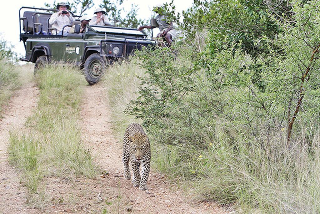 Kambaku River Sands Timbavati Game Reserve Esterno foto