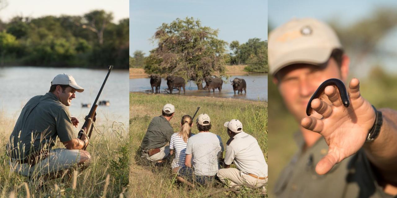Kambaku River Sands Timbavati Game Reserve Esterno foto